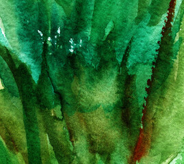 Hand drawn watercolor painting of grass