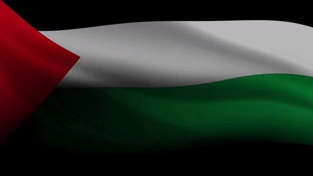 Palestine flag in the wind on a black backdrop. Perfect for patriotic, cultural, and event themes. Represents pride and solidarity, motion graphics