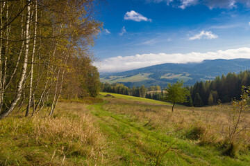 Fototapeta na wymiar Grzybobranie w Tyliczu jesienią. Jesienny krajobraz.