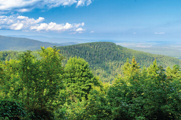 Obraz premium Paysage de Mont saint-Odile-France