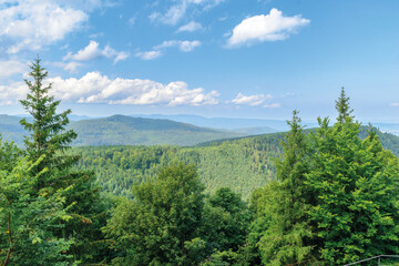 Obraz premium Paysage à Mont Sainte-Odile en été- Alsace-France