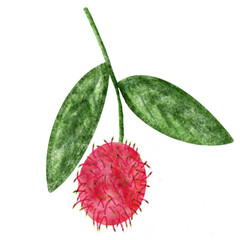 Rambutan
