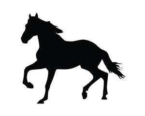 Obraz na płótnie Canvas Horse Silhouette. Horse Vector Illustration.
