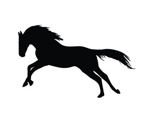 Horse Silhouette. Horse Vector Illustration.