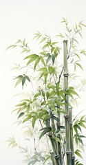 Fototapeta na wymiar bamboo leaves isolated on white background