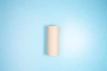 reuse empty toilet paper roll for craft concept 