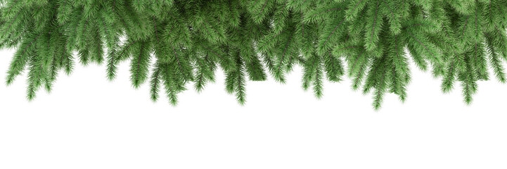 christmas pine branch isolated on white background - obrazy, fototapety, plakaty
