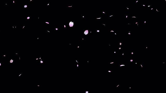 桜吹雪 v3 C1 寄り アルファチャンネル付き