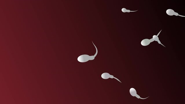 A lot of sperm cell swim into red vagina. Reproductive system close-up. 3d fertile ovum egg fuss. New birth life. Baby dna in vitro. Many micro spermatozoon seed. Sex ed. ivf bank donor. Inside ovule.