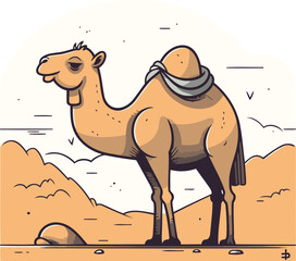 Camel in the desert. Vector illustration on white background. Cartoon style.