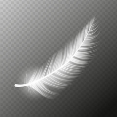 White feather. Flying realistic vector white feather. Isolated vector illustration EPS10