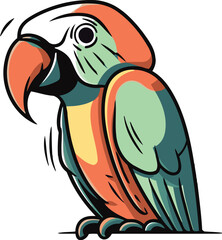 Colorful parrot isolated on a white background. Vector illustration.