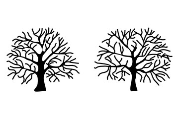 hand drawn tree vector collection set