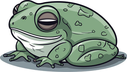 Frog cartoon isolated on white background. Vector illustration of frog.