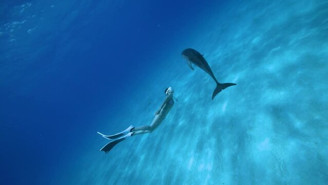 イルカと泳ぐYuki_14_バハマ_2023.6.13