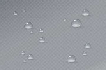Realistic vector water drops png on a transparent light background.
Water condensation on the surface with light reflection and realistic shadow.
3d vector illustration