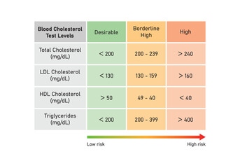 Blood Cholesterol Levels Concept Design. Vector Illustration.