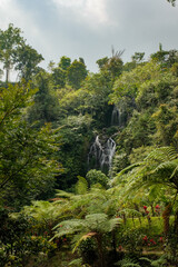 Lush Forest Veiling Serene Waterfalls in Bali's Mystical Heart