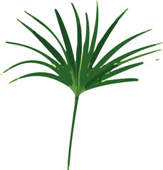 A sleek and minimalist vector illustration showcasing tropical leaves, exuding a clear and contemporary vibe.