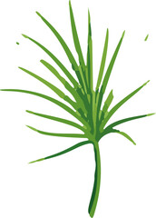 Minimalistic illustration of tropical leaves in vector format, showcasing elegance and simplicity with a touch of exotic nature.