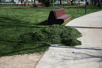 A huge pile of green mowed grass mixed with leaves.