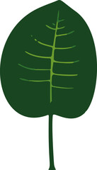 Minimalistic vector illustration of tropical leaves.