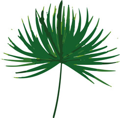 Minimalistic tropical vector leaf design. A simple yet stunning representation of nature's lush beauty in a minimalist style.