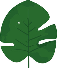 Minimalistic vector illustration of tropical leaves.