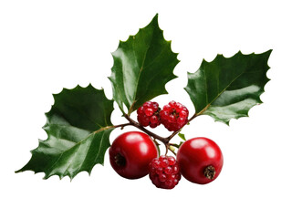green holly and red berries isolated on transparent background. generative ai
