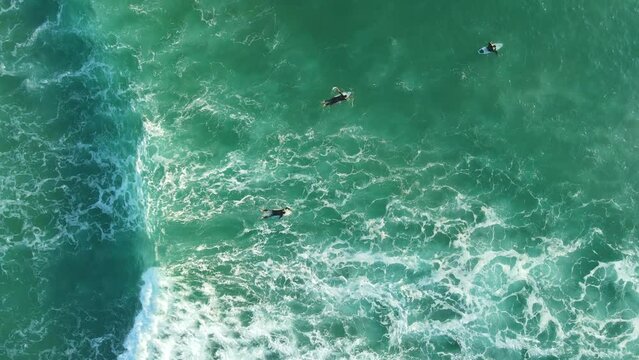 Surfers rowing on line up in ocean with perfect waves. Aerial view of ocean with foam and surfers