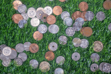 芝の上に落ちた日本円の硬貨