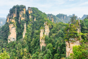 Awesome view of quartz sandstone pillars (Avatar Mountains)