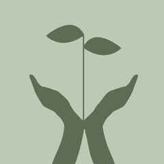 Obraz premium Nachhaltigkeit - Offene Hände mit wachsender Pflanze