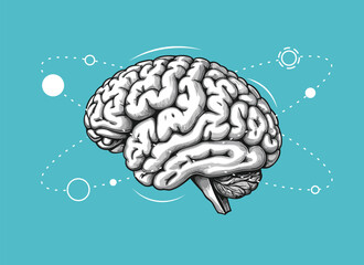 brain function infographic