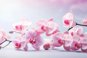 Zelfklevend Fotobehang Pink orchid on light blue background © Lana_M