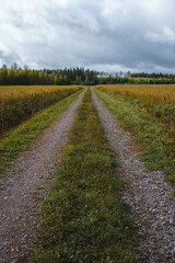 Fototapeta na wymiar Empty dirt road leading through the field in Finland