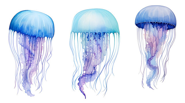 Watercolor Set of jellyfish elements collection clipart . generative ai