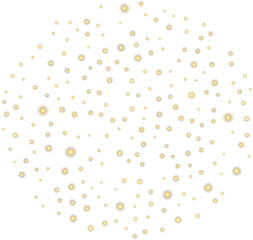 A dazzling golden snow globe is in front of your eyes