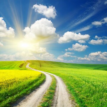 rural road in the field