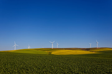 A beautiful landscape showing farmland planted with Canola near Caledon, Western Cape, South Africa. There are wind turbines on the horizon.  © Jacques Hugo