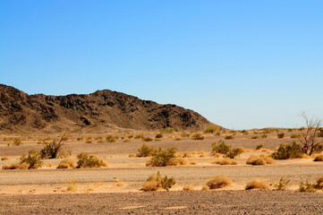 Sonora Desert Arizona