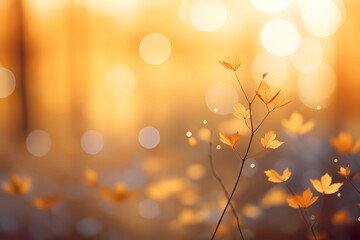 autumn bokeh light background