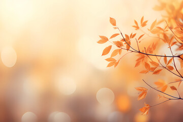 autumn bokeh light background