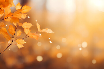 autumn bokeh light background