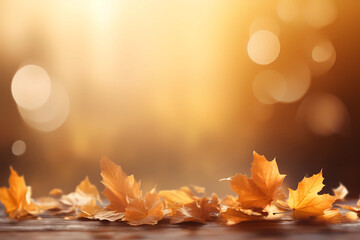 autumn bokeh light background
