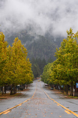 Autumn in California mountain town