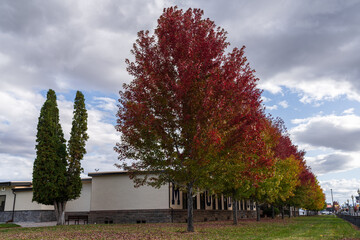 Autumn in town