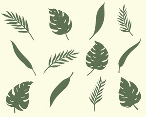 set of leaves