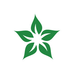 leaves star nature logo icon