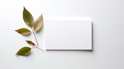 sheet of paper on a leaf